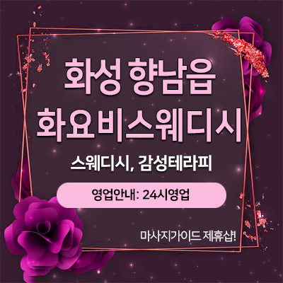 화성화요비스웨디시