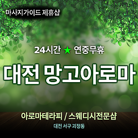 대전망고아로마