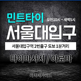 서울대입구역-민트타이