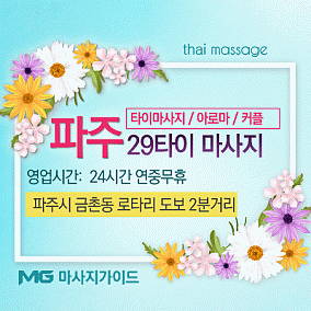파주-29타이
