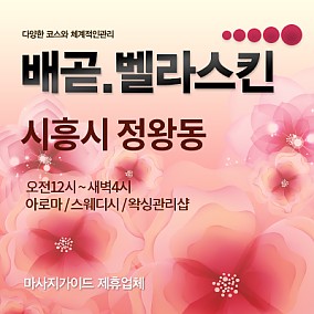배곧.벨라스킨