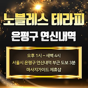 은평 노블레스테라피