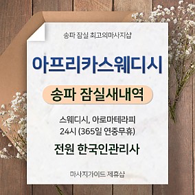 잠실아프리카스웨디시