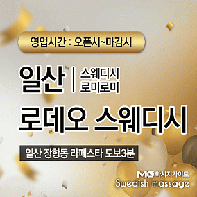 일산 로데오스웨디시