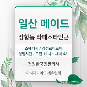 일산 메이드스웨디시