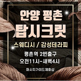 평촌 탑시크릿