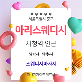 시청역아리스웨디시