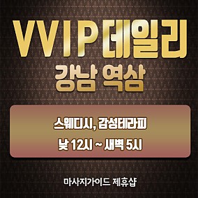 강남 VVIP데일리스웨디시