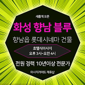 화성 향남 블루