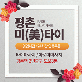 평촌-미(美)타이