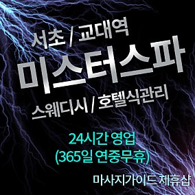 교대역 미스터스파