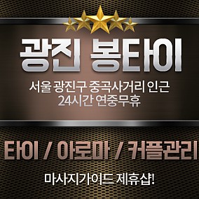 광진구 봉타이
