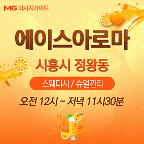 시흥시 에이스스웨디시