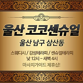 울산 코코센슈얼