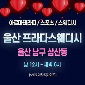 울산 프라다스웨디시