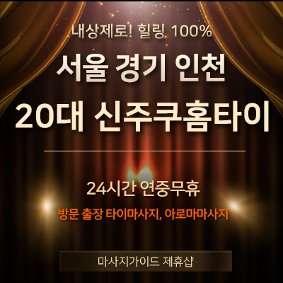 20대 신주쿠홈타이